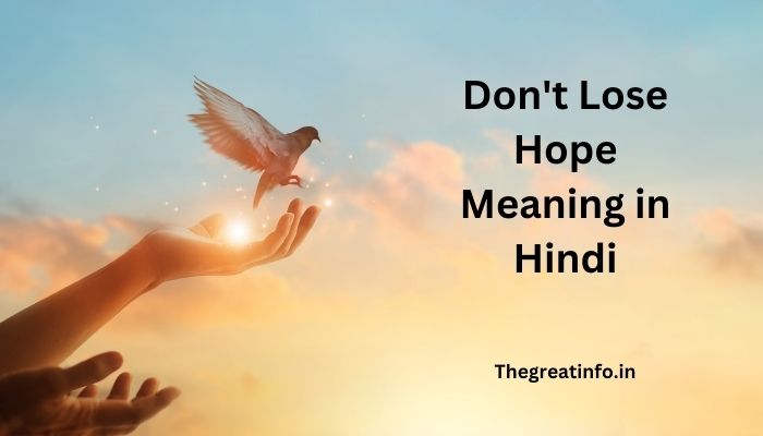 Don't Lose Hope Meaning in Hindi