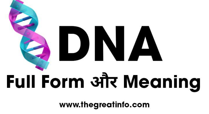 DNA Meaning or Full Form Of DNA